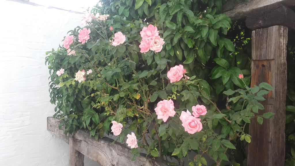 Finca El Abuelo Barbate Ngoại thất bức ảnh